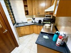 Tanglin View (D3), Condominium #502593711